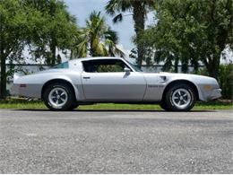 1976 Pontiac Firebird Trans Am (CC-1996928) for sale in Palmetto, Florida