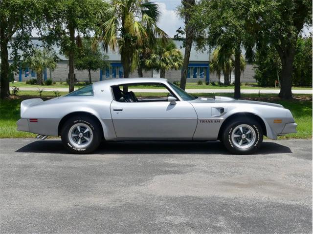 1976 Pontiac Firebird Trans Am (CC-1996928) for sale in Palmetto, Florida