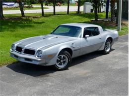 1976 Pontiac Firebird Trans Am (CC-1996928) for sale in Palmetto, Florida