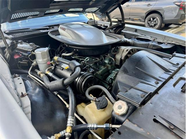1976 Pontiac Firebird Trans Am (CC-1996928) for sale in Palmetto, Florida
