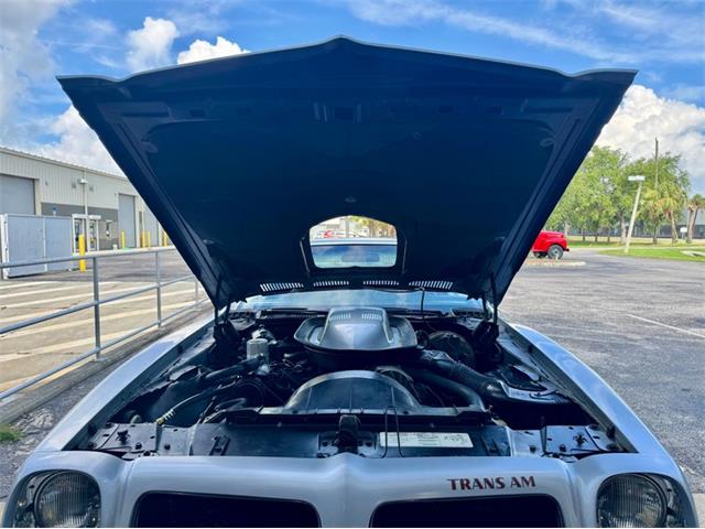 1976 Pontiac Firebird Trans Am (CC-1996928) for sale in Palmetto, Florida