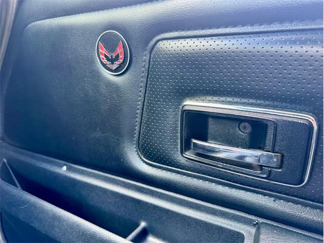 1976 Pontiac Firebird Trans Am (CC-1996928) for sale in Palmetto, Florida