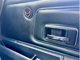 1976 Pontiac Firebird Trans Am (CC-1996928) for sale in Palmetto, Florida
