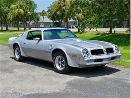 1976 Pontiac Firebird Trans Am (CC-1996928) for sale in Palmetto, Florida