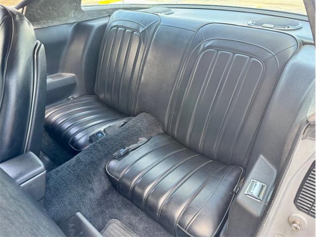 1976 Pontiac Firebird Trans Am (CC-1996928) for sale in Palmetto, Florida