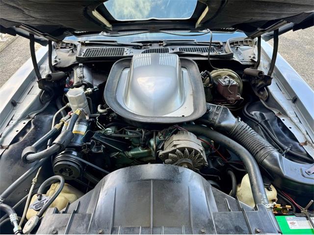 1976 Pontiac Firebird Trans Am (CC-1996928) for sale in Palmetto, Florida