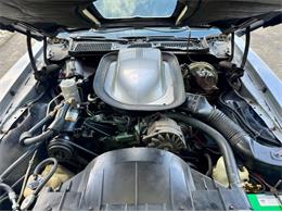 1976 Pontiac Firebird Trans Am (CC-1996928) for sale in Palmetto, Florida