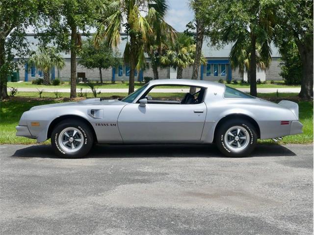 1976 Pontiac Firebird Trans Am (CC-1996928) for sale in Palmetto, Florida