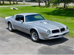 1976 Pontiac Firebird Trans Am (CC-1996928) for sale in Palmetto, Florida