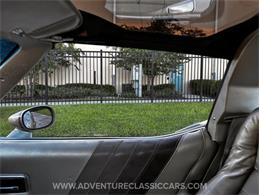 1982 Chevrolet Corvette (CC-1997010) for sale in Clearwater, Florida