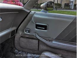 1982 Chevrolet Corvette (CC-1997010) for sale in Clearwater, Florida