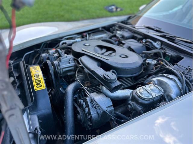 1982 Chevrolet Corvette (CC-1997010) for sale in Clearwater, Florida