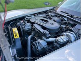 1982 Chevrolet Corvette (CC-1997010) for sale in Clearwater, Florida