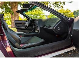 1995 Chevrolet Corvette (CC-1997139) for sale in Shamong, New Jersey