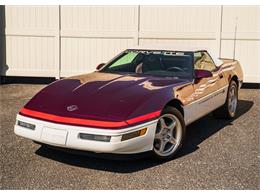 1995 Chevrolet Corvette (CC-1997139) for sale in Shamong, New Jersey