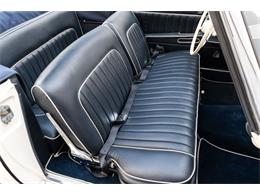 1957 BMW 503 Series II Cabriolet (CC-1997938) for sale in Houston, Texas