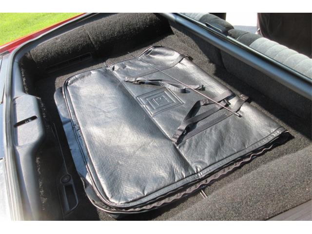 1985 Pontiac Firebird Trans Am (CC-1997967) for sale in Great Bend, Kansas