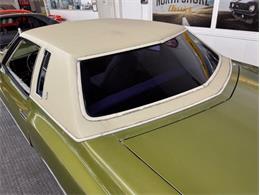 1973 Chevrolet Monte Carlo (CC-1998877) for sale in Mundelein, Illinois