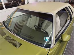 1973 Chevrolet Monte Carlo (CC-1998877) for sale in Mundelein, Illinois