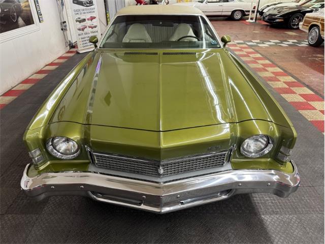 1973 Chevrolet Monte Carlo (CC-1998877) for sale in Mundelein, Illinois