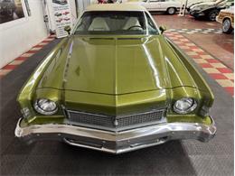 1973 Chevrolet Monte Carlo (CC-1998877) for sale in Mundelein, Illinois