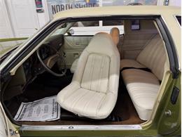 1973 Chevrolet Monte Carlo (CC-1998877) for sale in Mundelein, Illinois