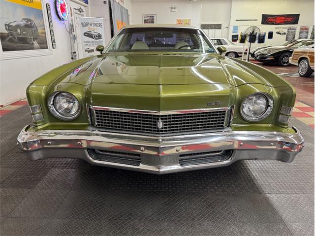 1973 Chevrolet Monte Carlo (CC-1998877) for sale in Mundelein, Illinois