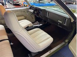 1973 Chevrolet Monte Carlo (CC-1998877) for sale in Mundelein, Illinois