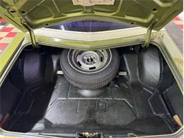 1973 Chevrolet Monte Carlo (CC-1998877) for sale in Mundelein, Illinois
