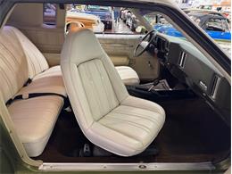 1973 Chevrolet Monte Carlo (CC-1998877) for sale in Mundelein, Illinois