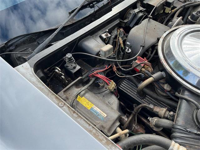 1981 Chevrolet Corvette (CC-1999199) for sale in Stanley, Wisconsin