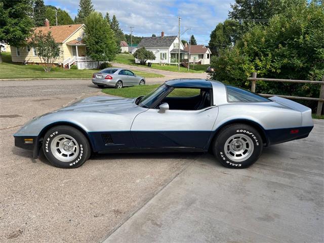 1981 Chevrolet Corvette (CC-1999199) for sale in Stanley, Wisconsin