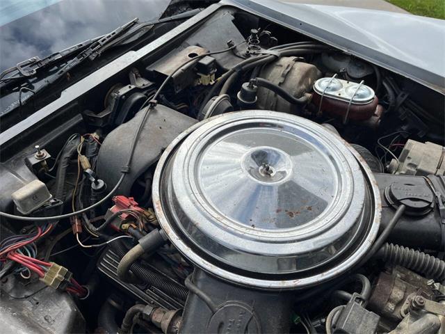 1981 Chevrolet Corvette (CC-1999199) for sale in Stanley, Wisconsin