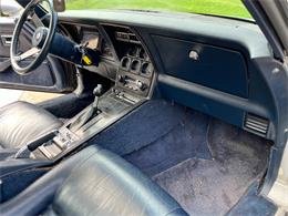 1981 Chevrolet Corvette (CC-1999199) for sale in Stanley, Wisconsin
