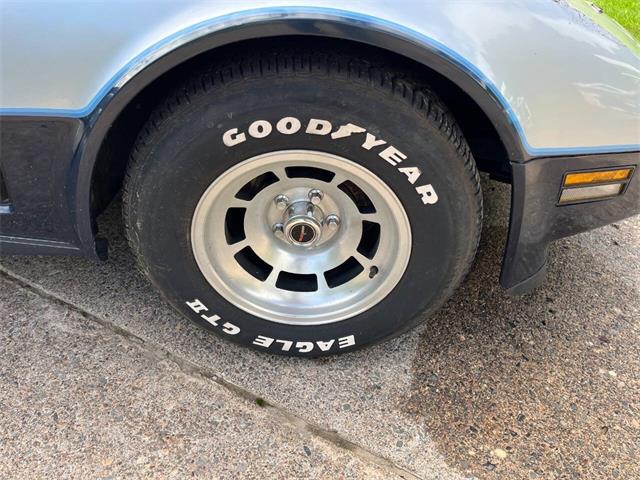 1981 Chevrolet Corvette (CC-1999199) for sale in Stanley, Wisconsin
