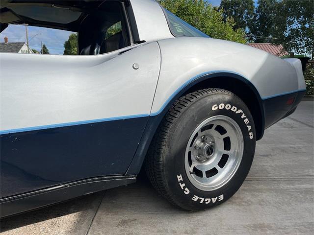 1981 Chevrolet Corvette (CC-1999199) for sale in Stanley, Wisconsin