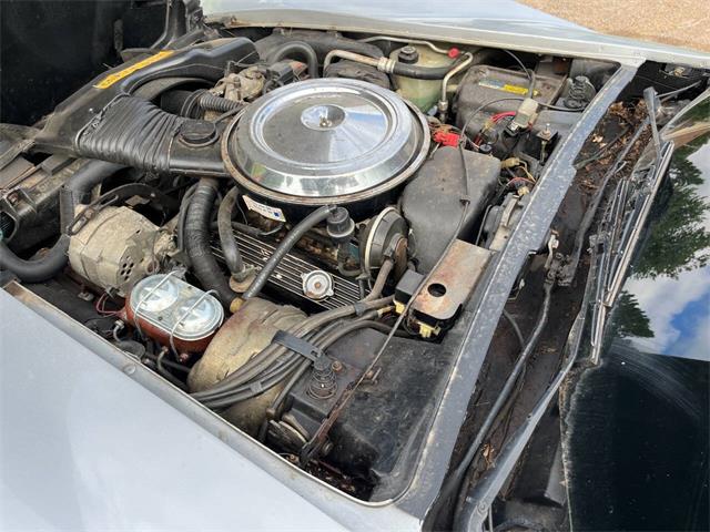 1981 Chevrolet Corvette (CC-1999199) for sale in Stanley, Wisconsin