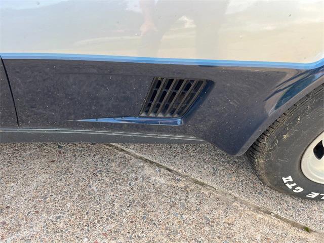 1981 Chevrolet Corvette (CC-1999199) for sale in Stanley, Wisconsin