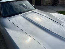 1981 Chevrolet Corvette (CC-1999199) for sale in Stanley, Wisconsin