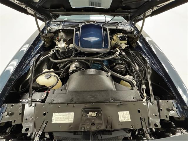 1981 Pontiac Firebird (CC-1999776) for sale in Morgantown, Pennsylvania