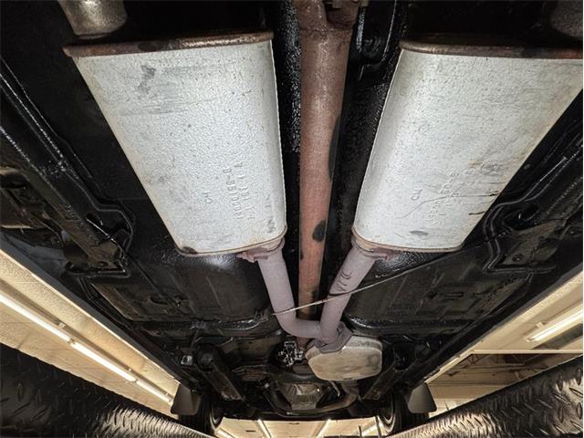 1981 Pontiac Firebird (CC-1999776) for sale in Morgantown, Pennsylvania