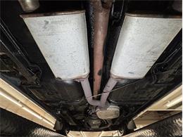 1981 Pontiac Firebird (CC-1999776) for sale in Morgantown, Pennsylvania