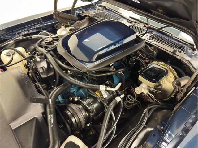 1981 Pontiac Firebird (CC-1999776) for sale in Morgantown, Pennsylvania