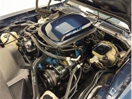 1981 Pontiac Firebird (CC-1999776) for sale in Morgantown, Pennsylvania