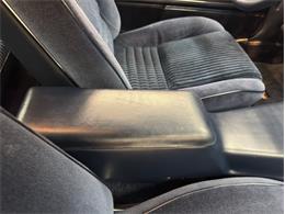 1981 Pontiac Firebird (CC-1999776) for sale in Morgantown, Pennsylvania