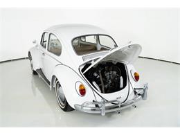 1965 Volkswagen Beetle (CC-2001017) for sale in St. Charles, Missouri
