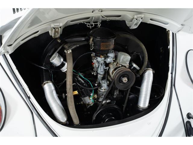 1965 Volkswagen Beetle (CC-2001017) for sale in St. Charles, Missouri