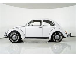 1965 Volkswagen Beetle (CC-2001017) for sale in St. Charles, Missouri