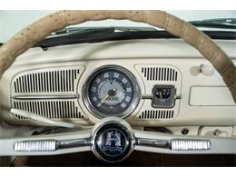 1965 Volkswagen Beetle (CC-2001017) for sale in St. Charles, Missouri