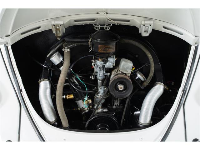 1965 Volkswagen Beetle (CC-2001017) for sale in St. Charles, Missouri